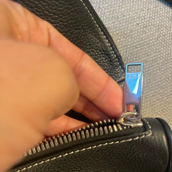 CHRISTIAN DIOR X SHAWN STUSSY Grained Calfskin Bee Saddle Bag Black - Picture 6 of 13